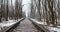 love tunnel in winter. Natural Tunnel of Love with Railway Road