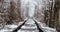 love tunnel in winter. Natural Tunnel of Love with Railway Road