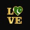Love typography Pakistan flag design vector Gold lettering