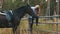 Love and understanding between girl and horse. Redhead girl and brown horse in the forest.