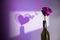 Love and Valentines Day Concept. Rose Flower Shading Shadow as Heart on the Wall. Surreal Color