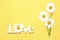 Love word,romantic backdrop,summer background,daisy flowers on yellow