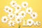 Love word on yellow background.Romantic backdrop,summer background,daisy flowers,floral design wallpaper