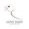 Lovebird logo design template vector and illustration