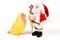 Lovebird is looking at santa