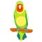 Lovebird parrot sits right with a red head. vector illustration