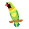 Lovebird parrot sitting head turned black vector illustration