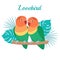 Lovebird parrot Vector illustration. Cartoon bird isolated on white background