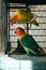 Lovebirds in a cage. Yellow and green birds in love. Nerosier Agapornis parrots.