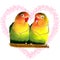 Lovebirds drawing in watercolor, Fischer's Lovebirds watercolor painting, pair of birds in watercolor, heart background