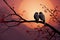 Lovebirds find solace on a tree branch, silhouetted in unity