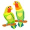 Lovebirds parrot with a red head vector illustration