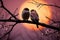 Lovebirds in silhouette, perched on a tree branch, share affection