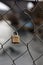 Lovelocks in a Closeup in Baden, Switzerland