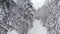 Lovely aerial shot of a snowy road and the forest around it.mov