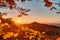 Lovely Autumn Landscape Panorama Picture