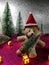 Lovely bear and christmas tree on pink gliter background near ornament lighting bulb at silent night, holy night, Merry Chr