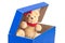 lovely bear toy in blue box gift on white