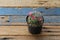 Lovely and beautiful mammillaria cactus with pink flower on wooden background