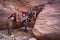 lovely Bedouin donkey, resting on the red stone cliff in Petra,