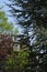 Lovely birdhouse in the colorful nature trees with a perfect blue sky.