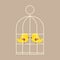 Lovely Birds In Cage