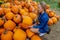 A Lovely Blonde European Model Enjoys Shopping For Pumpkins And Flowers For Halloween Holiday
