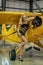 Lovely Blonde Model Poses With A Small General Aircraft