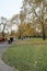 Lovely bloomed trees in regents park on a sunny day