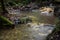 Lovely blurry smooth hot springs stream in the middle of the wood of Gede Pangrango Mountain