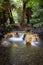 Lovely blurry smooth hot springs stream in the middle of the wood of Gede Pangrango Mountain