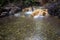 Lovely blurry smooth hot springs stream in the middle of the wood of Gede Pangrango Mountain