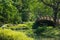 Lovely bridge crossing a lake in a beautifully landscaped Thai park.