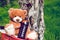 Lovely Brown Teddy Bear In Basket On Bike In summer forest on picnic Toning