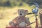 Lovely brown teddy bear in rattan basket on vintage bike in green field with lens flare. Warm toning effect. Retro and vintage st