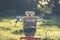 Lovely brown teddy bear in rattan basket on vintage bike in green field with lens flare. Warm toning effect. Retro and vintage st