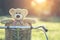 Lovely brown teddy bear in rattan basket on vintage bike in green field with lens flare. Warm toning effect. Retro and vintage st