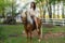 A Lovely Brunette Model Poses With Her Horse Outdoors While Enjoying The Spring Weather