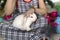 A lovely bunny fluffy rabbit lay on a cute little Asian girl`s lap.