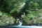 A lovely cascade flowing into a stream in a mysterious forest with sunlight shining through the lush greenery