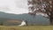 Lovely caucasian wedding newlyweds family bride groom walking, holding hands on mountain slope hill