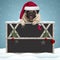 Lovely Christmas pug puppy dog hanging with paws on blank blackboard sign with wooden frame and decoration