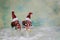 Lovely christmas snowman figures decoration