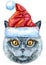 Lovely closeup portrait of British Shorthair in the classic color blue cat breed in Santa hat. Hand drawn watercolor painting on