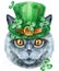 Lovely closeup portrait of British Shorthair in the classic color blue cat in a leprechaun hat. Hand drawn watercolor painting on