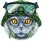 Lovely closeup portrait of British Shorthair in the classic color blue cat in a military tactical helmet with goggles. Hand drawn