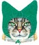 Lovely closeup portrait of Maine Coon cat in a funny green knitted cap. Hand drawn water colour painting on white background