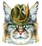 Lovely closeup portrait of Maine Coon cat in green hat. Hand drawn water colour painting on white background