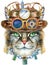 Lovely closeup portrait of Maine Coon cat wearing a steampunk hat with goggles. Hand drawn water colour painting on white