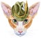 Lovely closeup portrait oriental cat in green hat. Hand drawn water colour painting on white background
